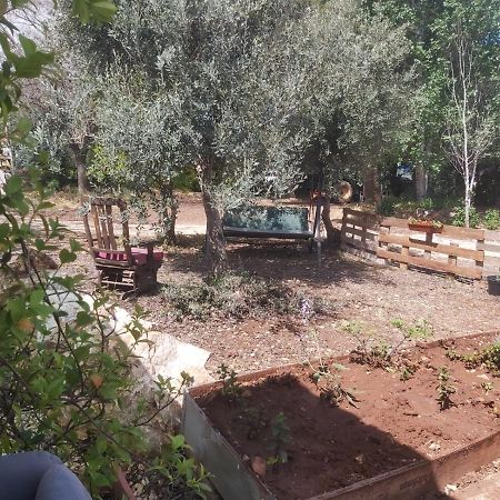 Apartamento יקב דרור- יחידה נפרדת Kefar Shammay Exterior foto